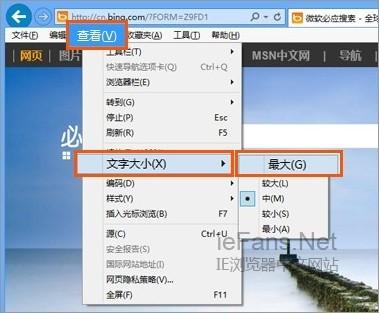 怎样设置IE浏览器字体变大或变小的图文方法介绍