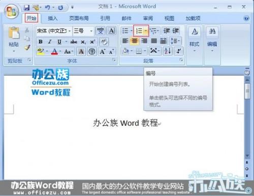 怎样往Word2007里面添加项目编号样式