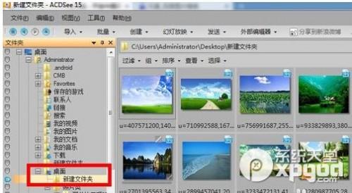 怎样用acdsee批量修改图片大小方法教程