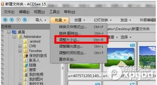 怎样用acdsee批量修改图片大小方法教程