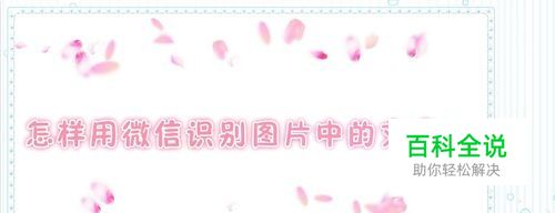 怎样用微信识别图片中的文字？