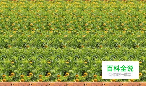 怎样用PhotoShop制作三维立体画：[3]第三章