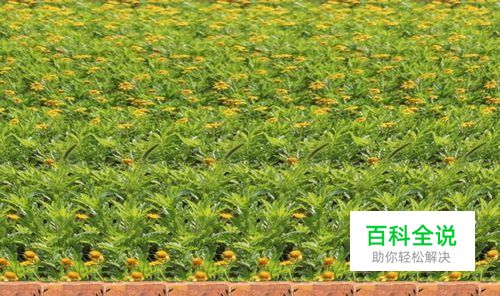 怎样用PhotoShop制作三维立体画：[3]第三章