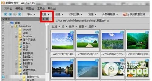 怎样用acdsee批量修改图片大小方法教程