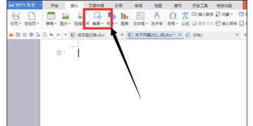 怎样在wps文字中添加截屏