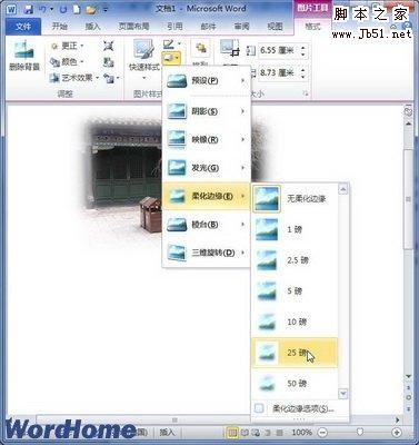 怎样在Word2010文档中设置图片柔化边缘效果