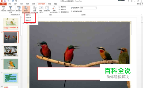 怎样制作自定义放映
