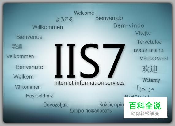 怎样在WIN7系统下安装IIS