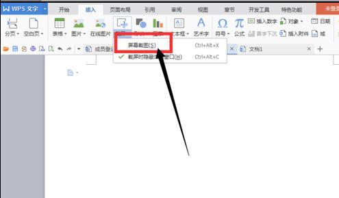 怎样在wps文字中添加截屏