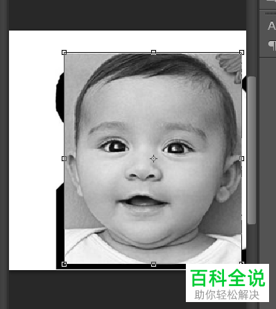 怎样自己做表情包？