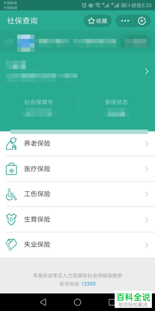 在支付宝中如何查看各项社保的余额？