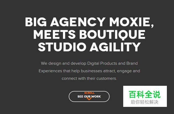 “大字体”秀网站欣赏