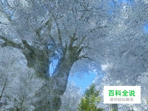 《上古世纪》快速升级攻略