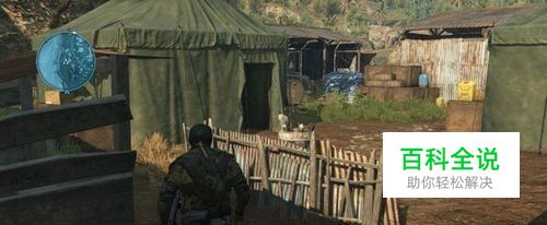 《森林》新手在哪里建家好？