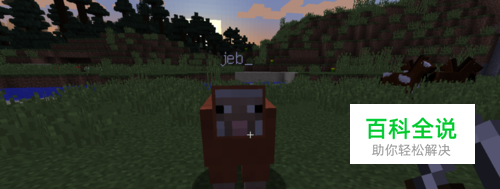 《我的世界》命名牌怎么用。