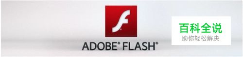 【Flash】如何查看Flash版本
