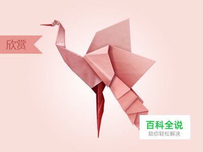 【每日一练】童年折纸的记忆