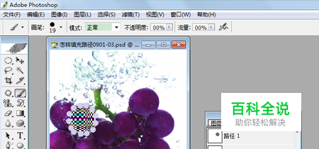 【PS】怎样为路径描边
