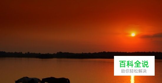 【夕阳摄影技巧】如何拍摄夕阳
